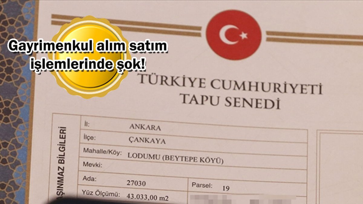 Tapu İşlemleri ve Hisseli Tapu Satışı İle İlgili Detaylar Yolculuk Haber Güncel ve son